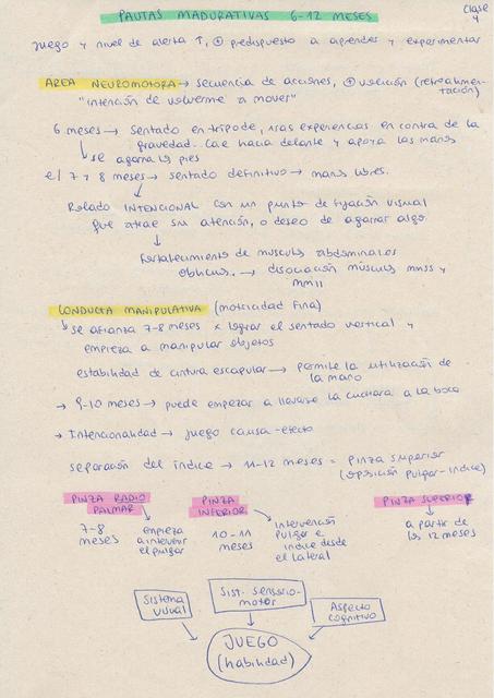 Neurodesarrollo de 6-12 Meses de Edad (Apuntes de Clase)