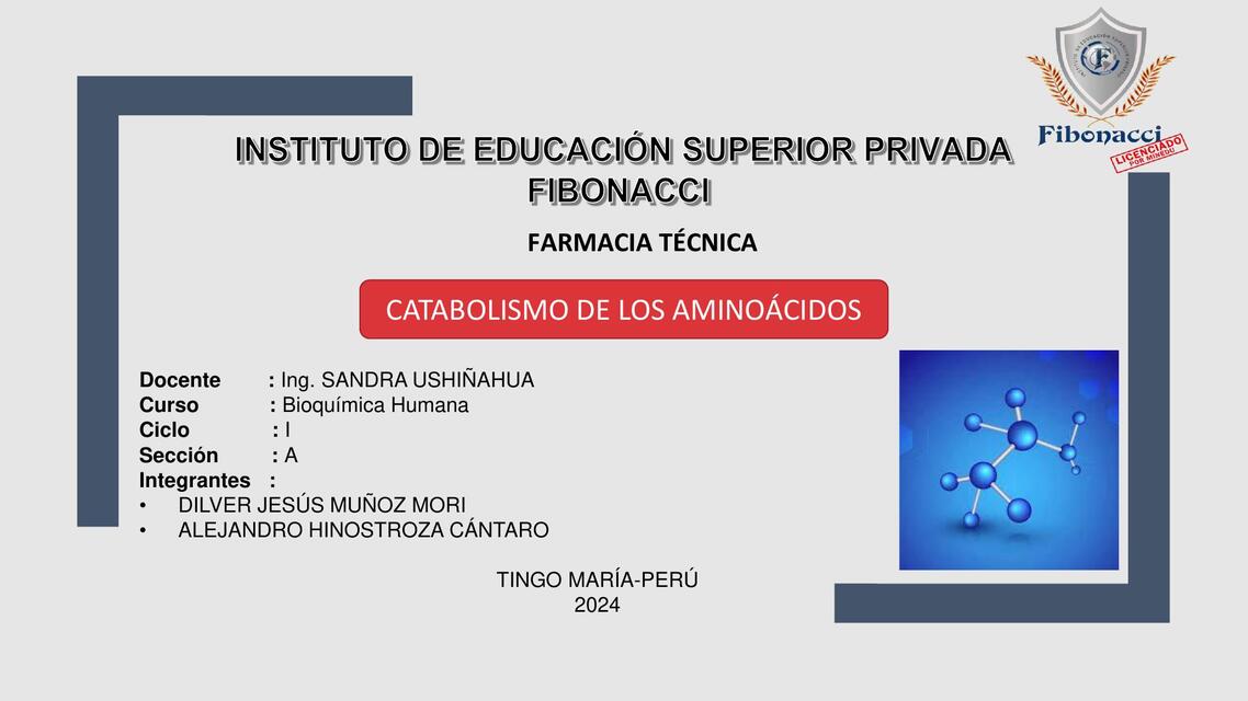 PPT 2 CATABOLISMO DE AMINOACIDOS