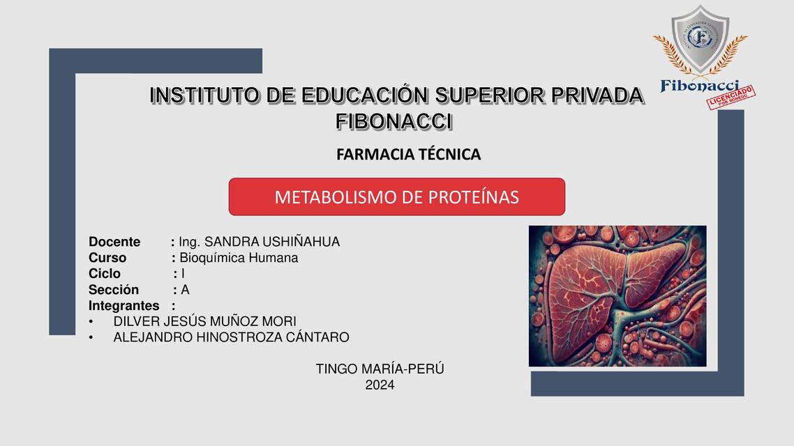 PPT 3 CICLO DE LA UREA