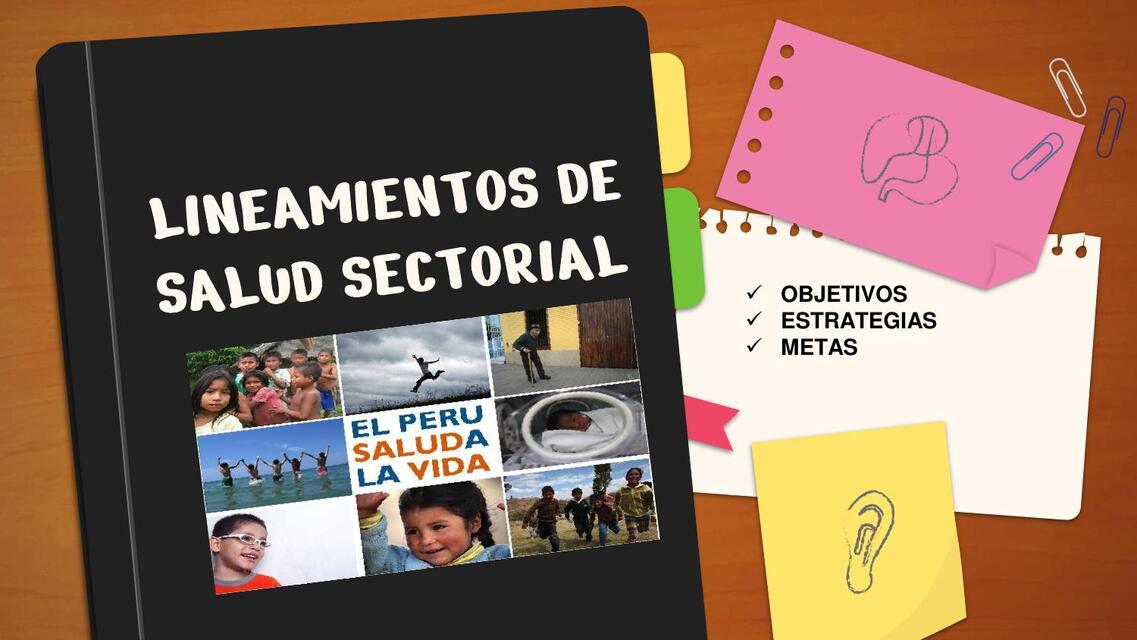 LINEAMIENTO DE SALUD SECTORIAL