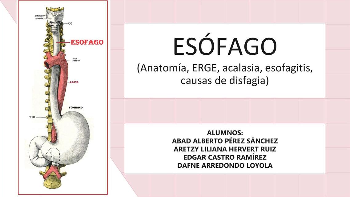 ESÓFAGO Anatomía ERGE acalasia esofagitis causas