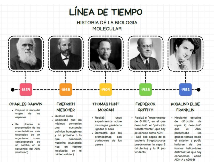 LINEA DE TIEMPO HISTORIA DE LA BIOLOGIA MOLECULAR