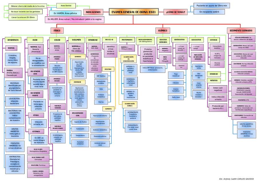 EXAMEN GENERAL DE ORINA 