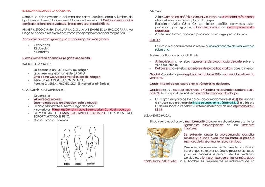 COLUMNA VERTEBRAL 