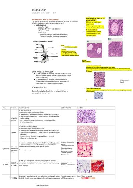 HISTOLOGIA