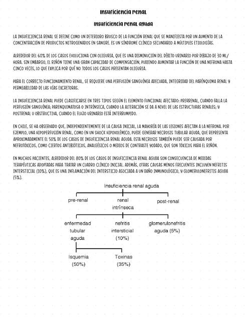 Insuficiencia Renal