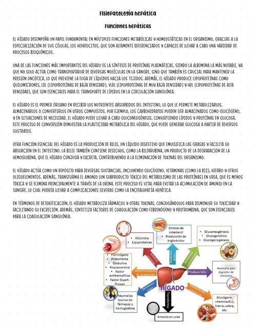 Fisiopatología Hepática