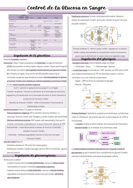 Control de la glucosa en sangre