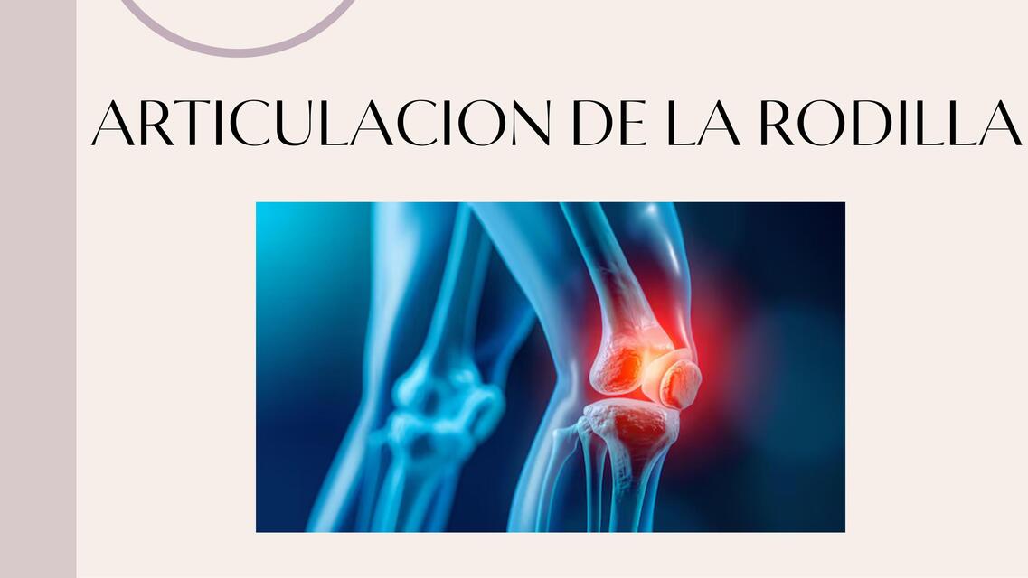 articulacion de rodilla