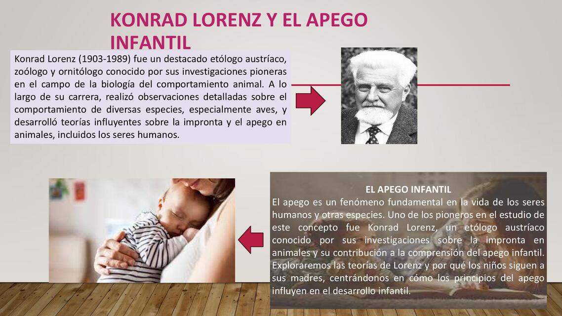 KONRAD LORENZ Y EL APEGO INFANTIL