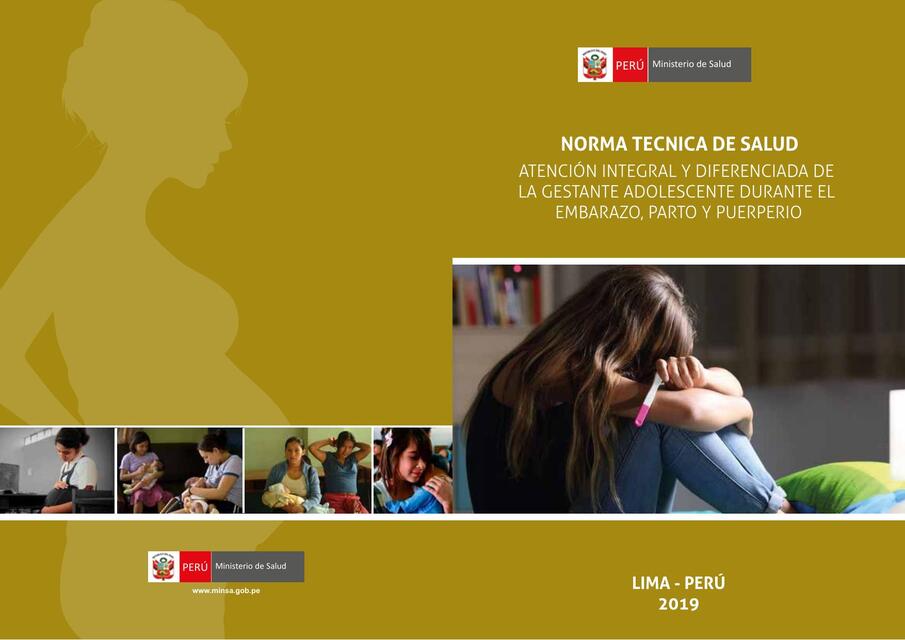 pdf Norma Técnica de Salud para la Atención Integral y Diferenciada adolesc