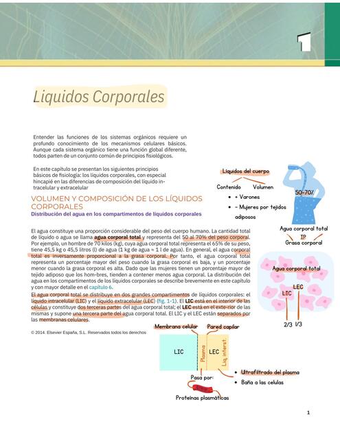 S3 Líquidos Corporales 1 pdf