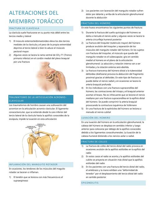 Alteraciones del miembro torácico