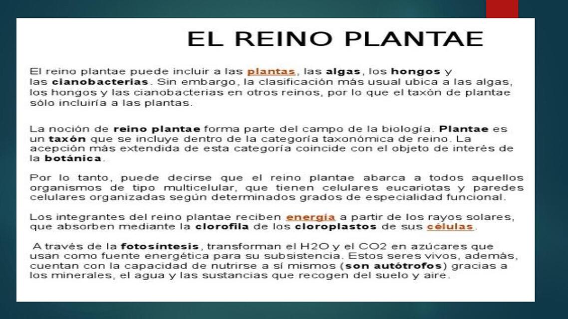 La planta y sus partes 26 09