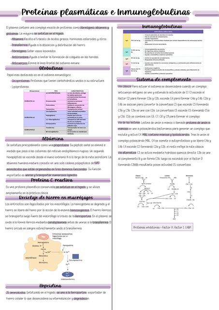 Proteínas plasmáticas e inmunoglobulinas