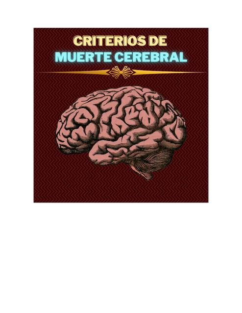 Muerte Cerebral 