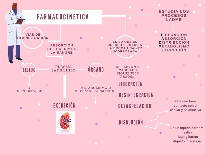 Mapa Conceptual De FarmacocinÉtica Udocz