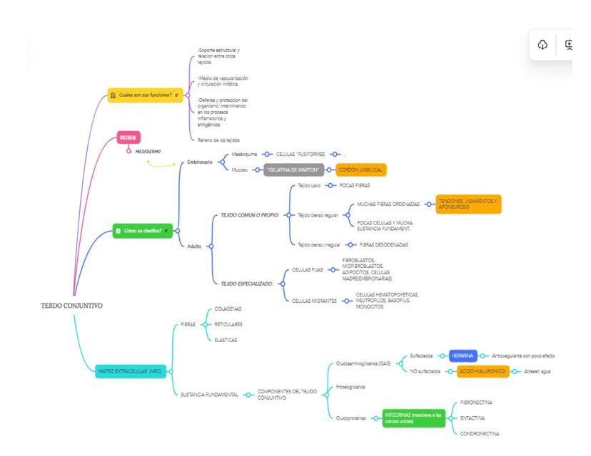 MAPA CONCEPTUAL TEJ CONJ