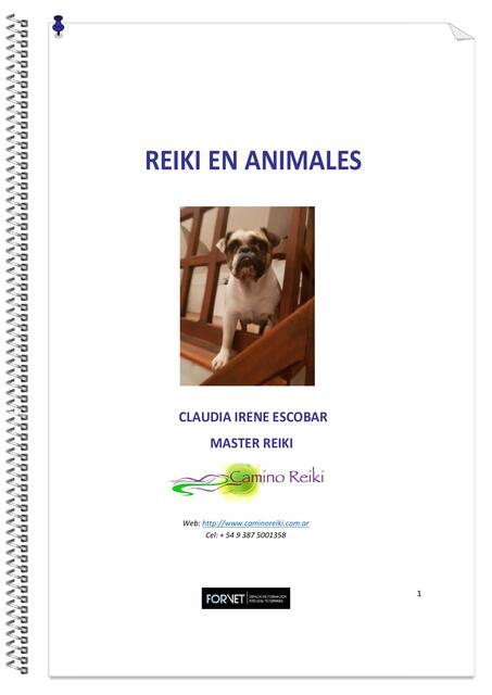 Reiki para animales