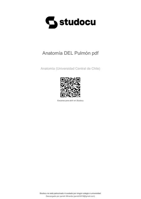 anatomia del pulmon pdf