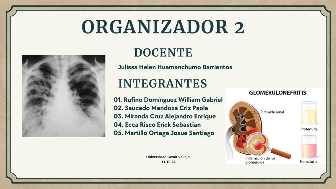 ORGANIZADOR 2 LUPUS