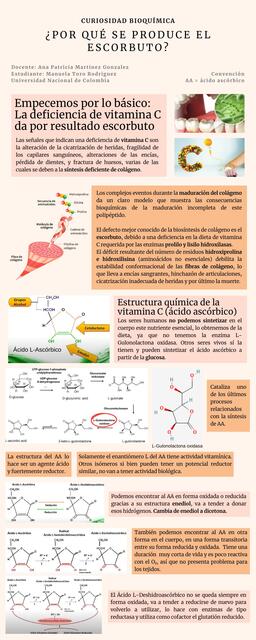 Generación del Escorbuto - Infografía