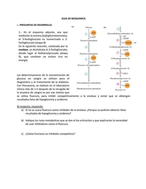 Guía de Bioquímica