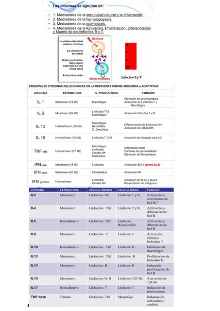 INTERLEUQUINAS FIEBRE Y OTROS