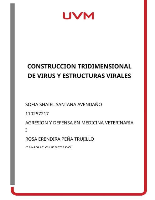 CONSTRUCCION TRIDIMENSIONAL DE VIRUS Y ESTRUCTURAS