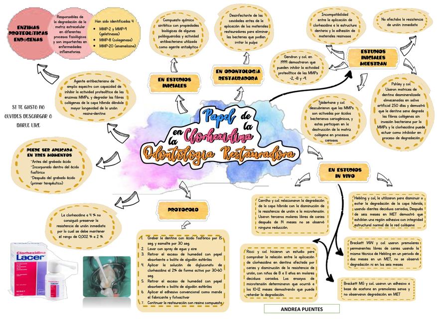 Papel de la clorhexidina en la Odontologia Restauradora