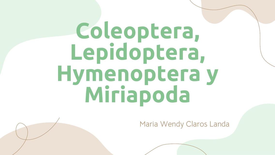 Coleoptera, lepidoptera, hymenoptera y miriapoda