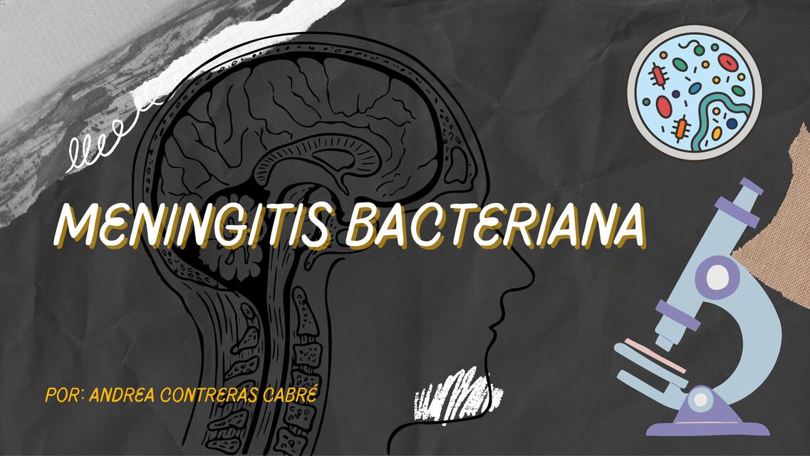 Meningitis Bacteriana y en Animales