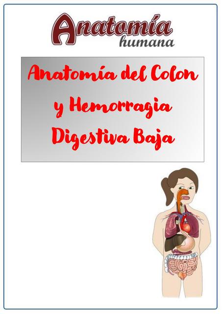 Anatomía del Colon y Hemorragia Digestiva Baja