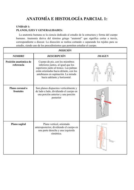 Tejidos, locomotor y planos