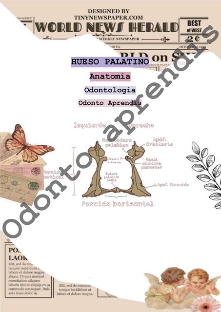 Hueso Palatino