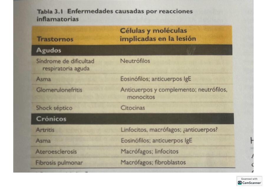 cuadro de anatopatologia