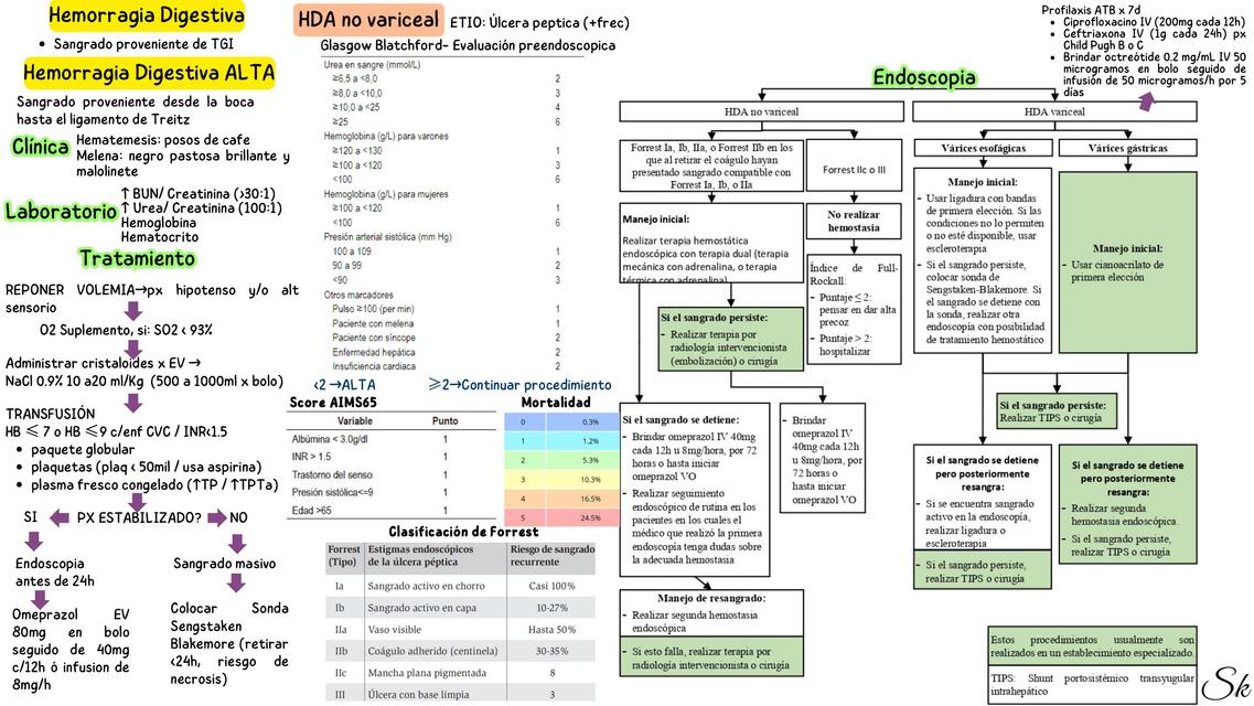 Hemorragia Digestiva ALTA