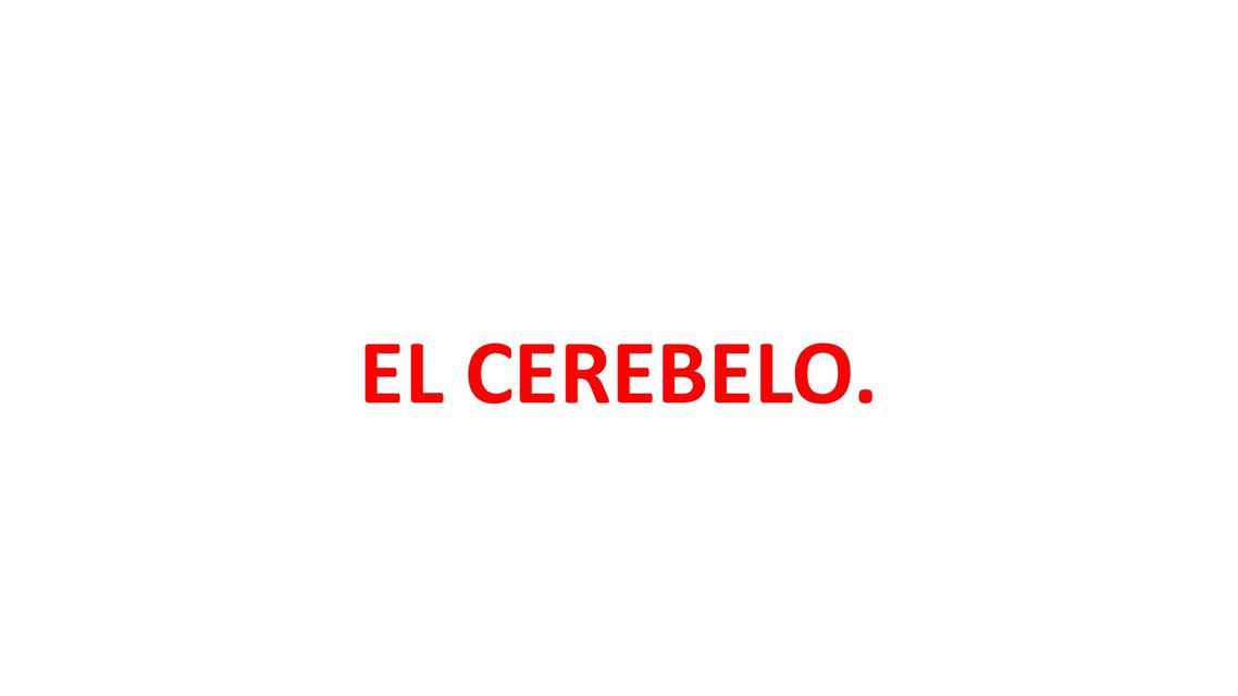 El Cerebelo