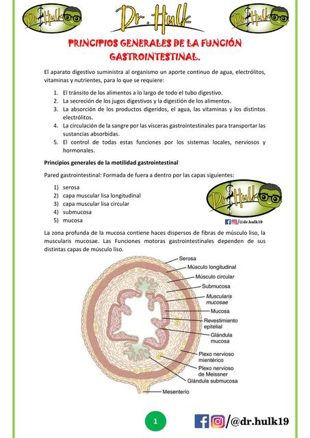 PRINCIPIOS GENERALES DE LA FUNCIÓN GASTROINTESTINAL DR HULK