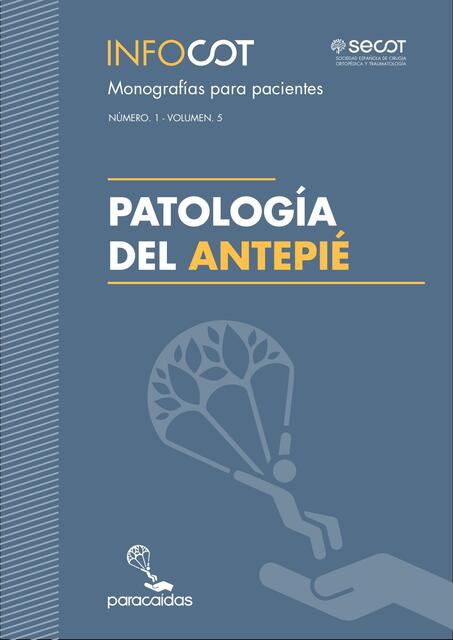 32 Patología del antepié Articulo autor Seniors Es