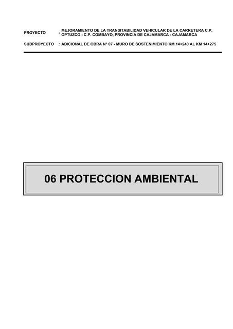 06 PROTECCION AMBIENTAL rev 01