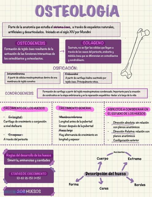 OSTEOLOGIA