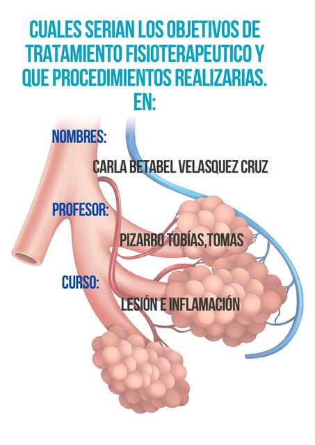 CUALES SERIAN LOS OBJETIVOS DE TRATAMIENTO FISIOTE