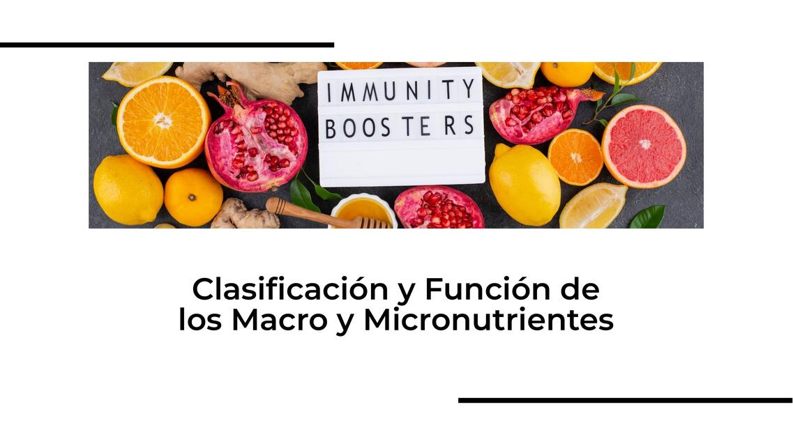 Caracteristicas Macro Y Micronutrientes De Los Alimentos www.udocz.com