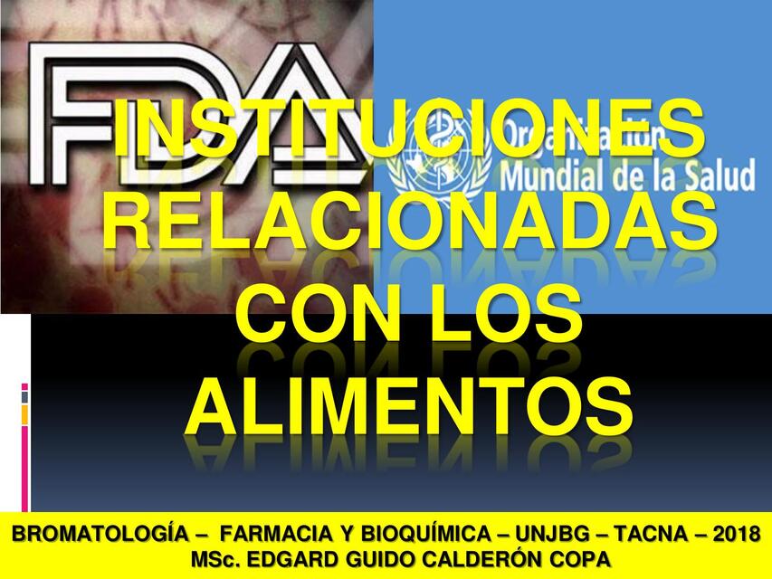 INSTITUCIONES RELACIONADAS A LOS ALIMENTOS