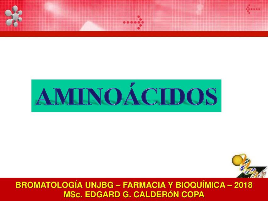 AMINOACIDOS