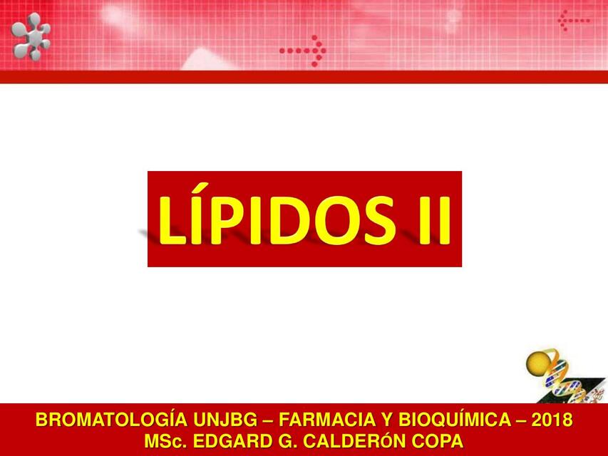 LÍPIDOS II