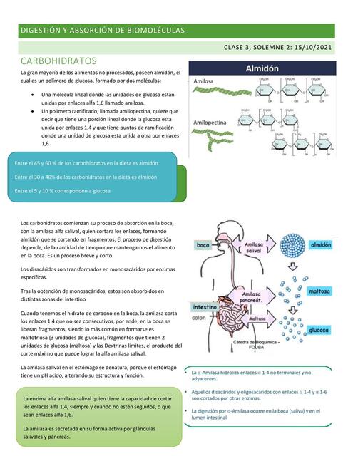 parte 2 biomoleculas