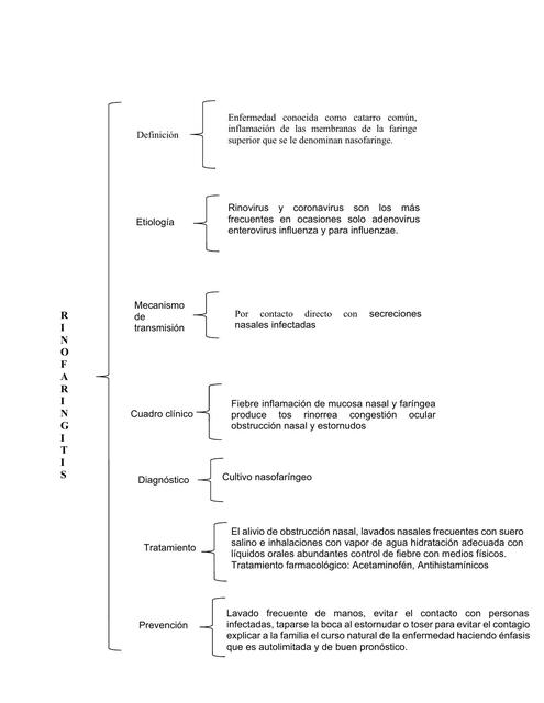 cuadro sinóptico 2 parcial