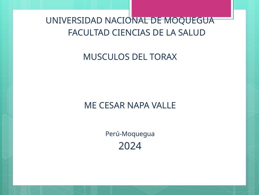 MUSCULOS TORAX UNAM